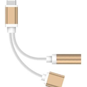 2in1 Lightning adapter gold 2 -In-1 Lightning Adapter Charging Cable Gold/White